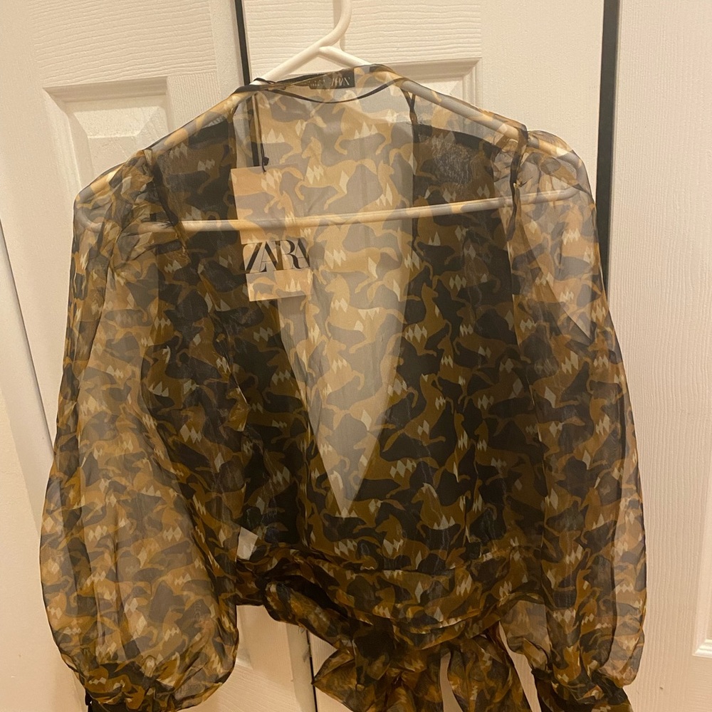 Zara Organza Top